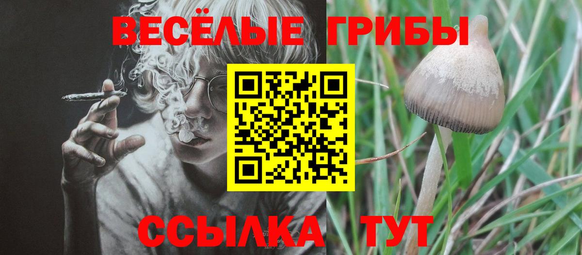 Галлюциногенные грибы Magic Shrooms Киров