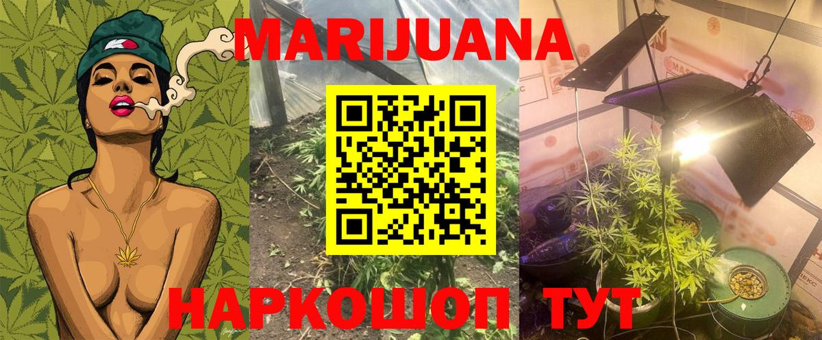 Бошки Шишки планчик  Вход с VPN  Киров  Бошки Шишки план  Канабис White Widow 
